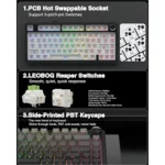 Infographic highlighting three keyboard features: pcb hot-swappable socket, leobog reaper switches, and side-printed pbt keycaps with rgb keyboard image above, wired for modular builds.