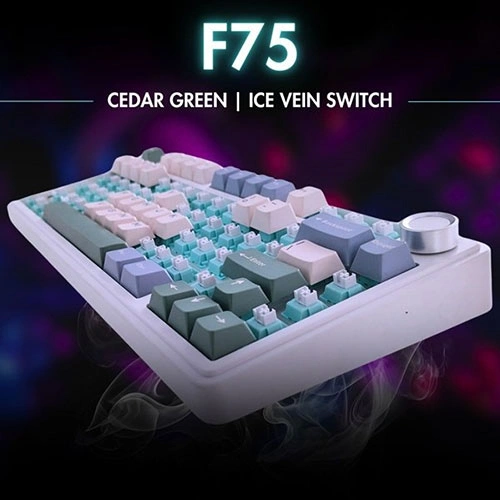 Aula f75 wireless tri mode rgb 75 percent mechanical gaming cedar green keyboard with ice vein switch Angled mechanical keyboard with pastel green, mint, and beige keys, labeled 'f75 cedar green | ice vein switch' against a neon-lit background.