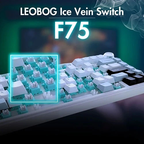 Aula f75 wireless tri mode rgb 75 percent mechanical gaming white and blue keyboard with ice vein switch Close-up of a mechanical keyboard with turquoise ice vein switches highlighted in a cyan box, showcasing the f75 model.